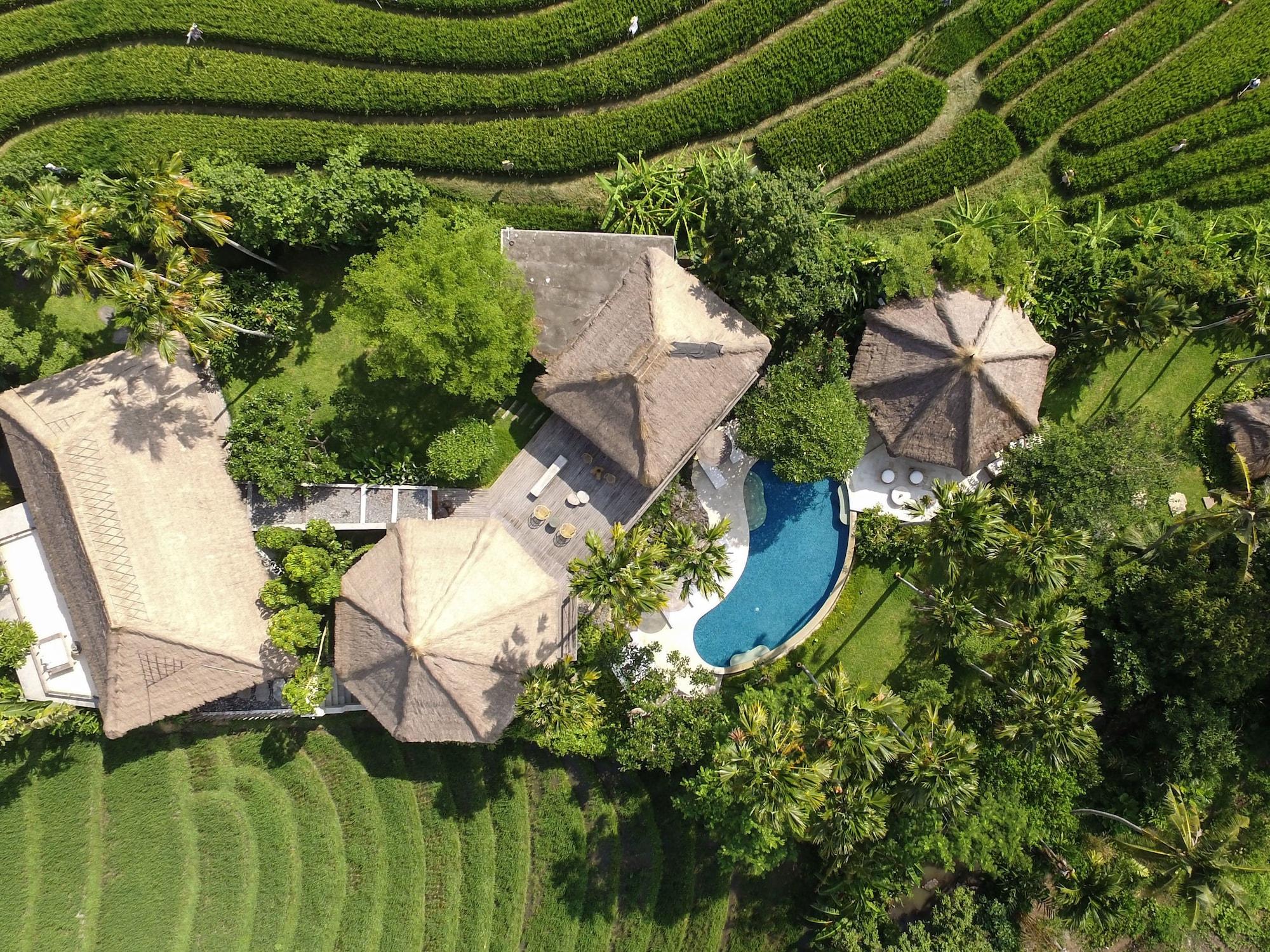Planta Boutique Resort Canggu Eksteriør bilde